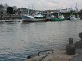 (57) 2007 Ciboure